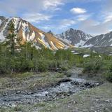 Kluane National Park