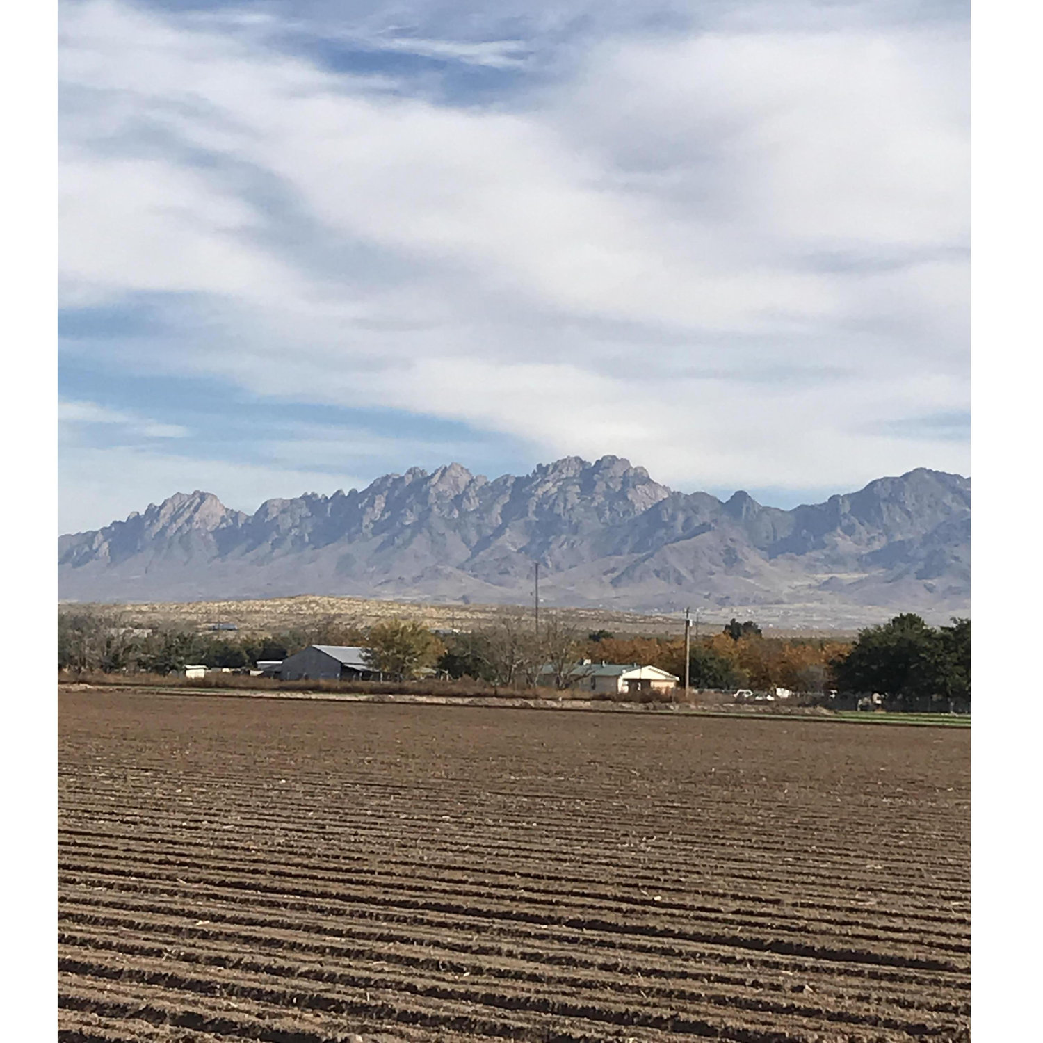 The view of the Organ Mountains, the backdrop to our ceremony!