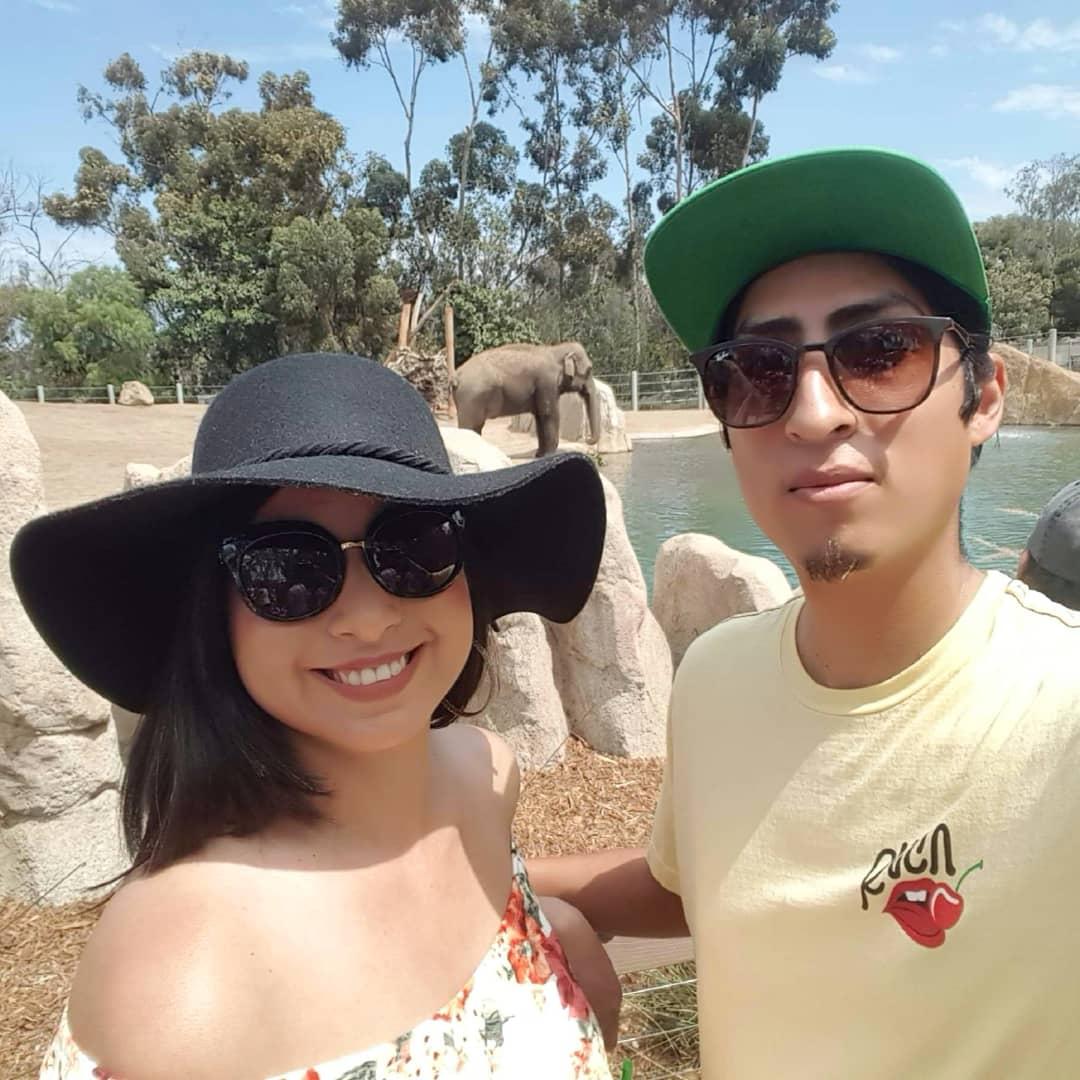 SD Zoo!