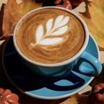 Dollop Coffee Co.