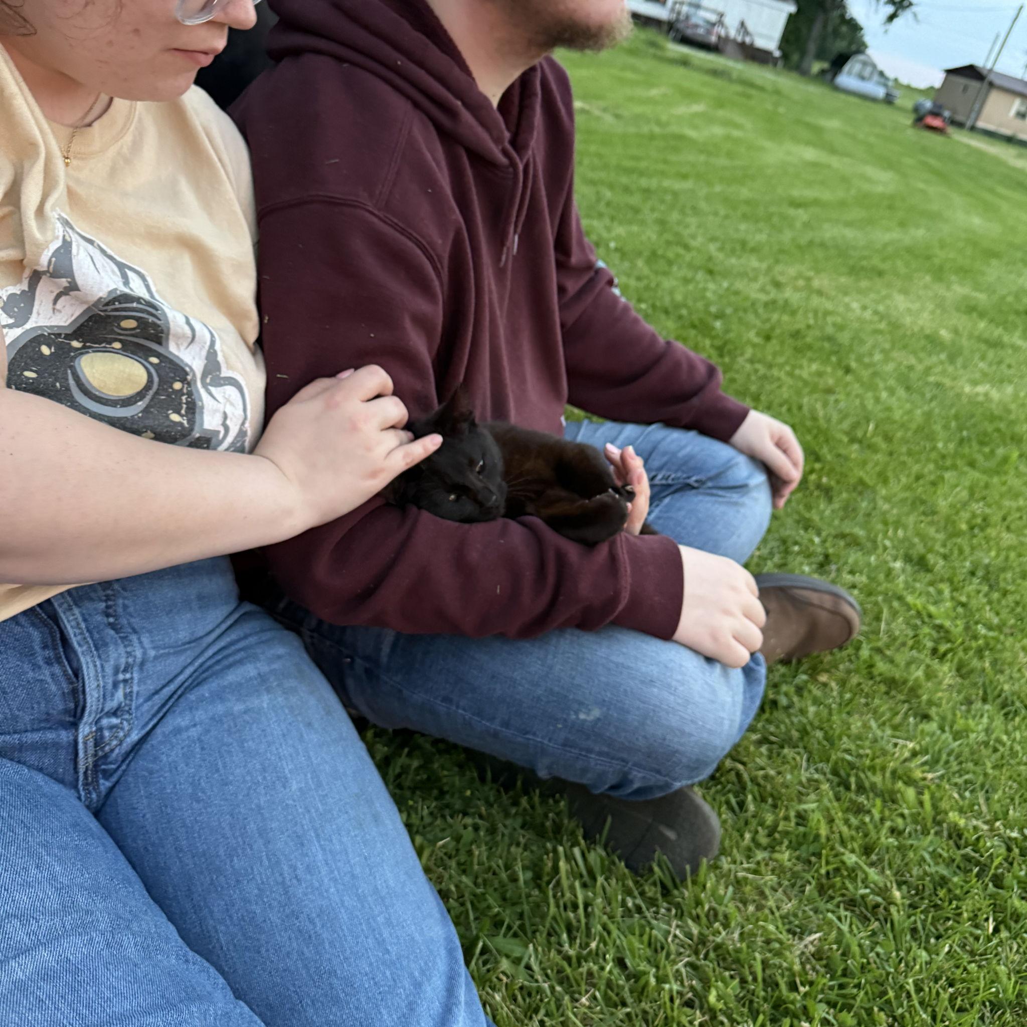 evan first meeting our cat, mef