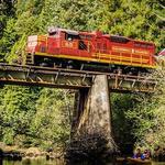 The Skunk Train & Rail Bikes