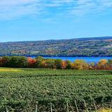 Seneca Lake
