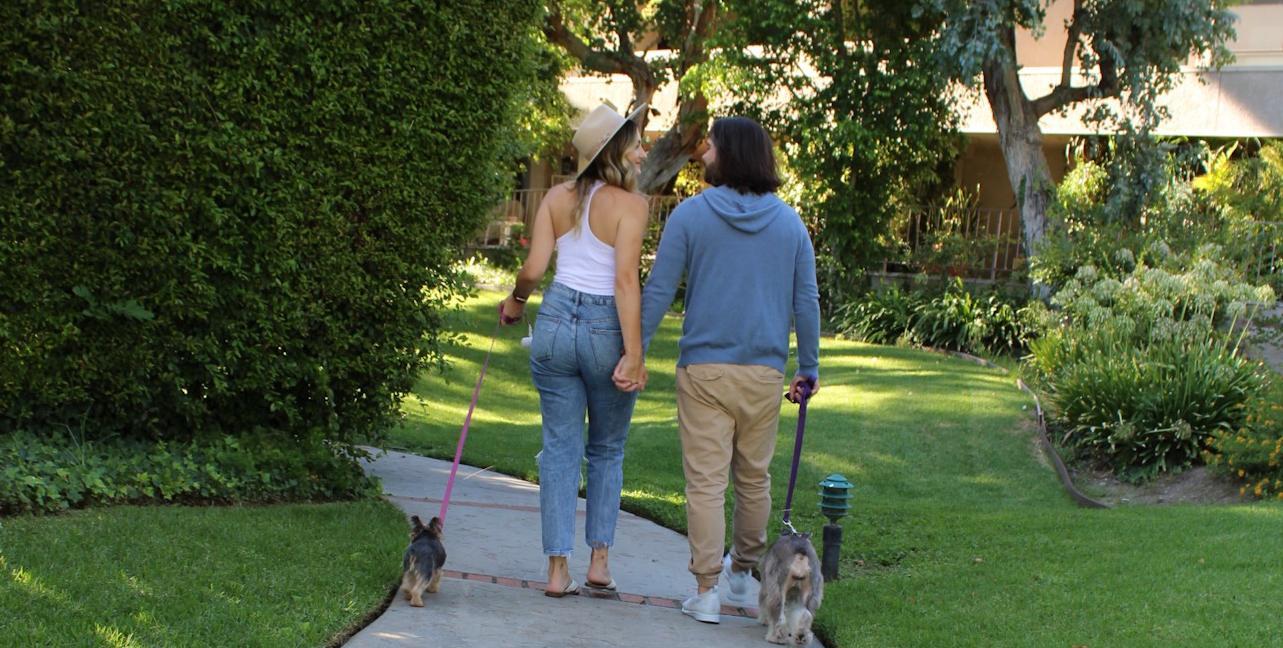 c6e724b0-f730-45fc-a353-b9f76050a981