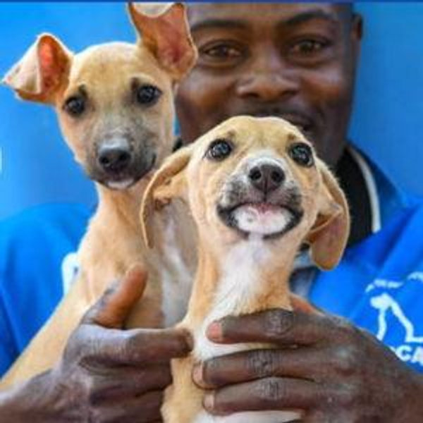 Donations for KSPCA Kenya
