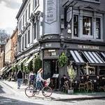 The Marylebone