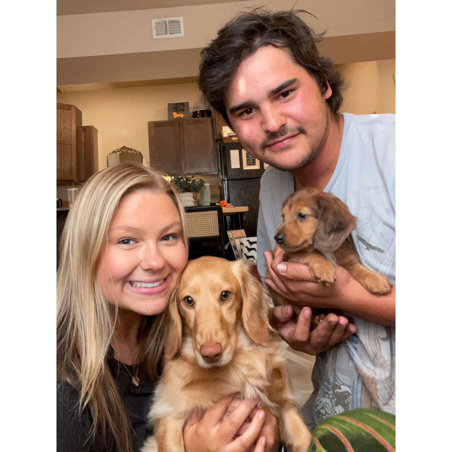 First family photo with two weenie dogs!