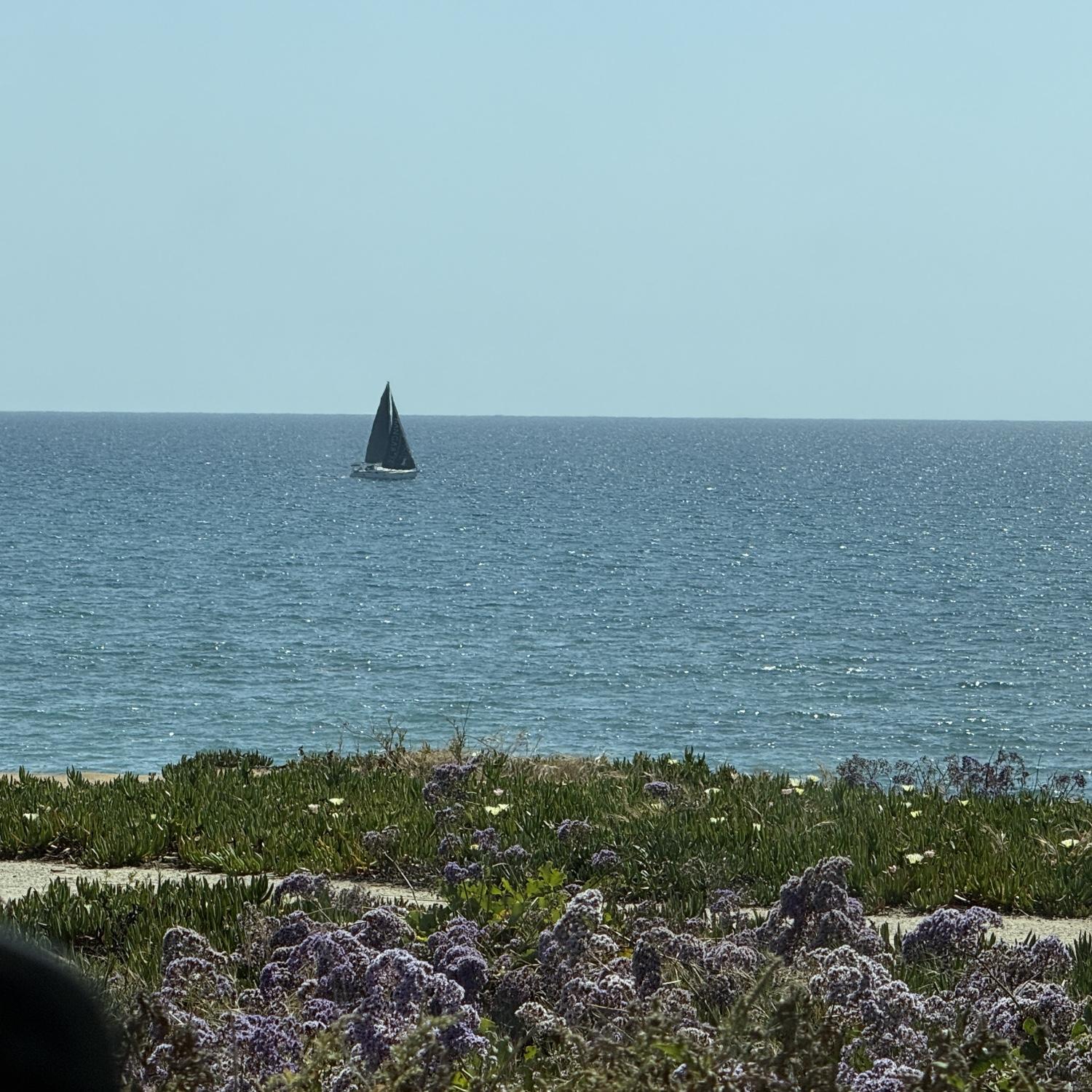 Terramar in Carlsbad, one of our favorite places