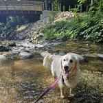 Pheasant Branch Conservancy