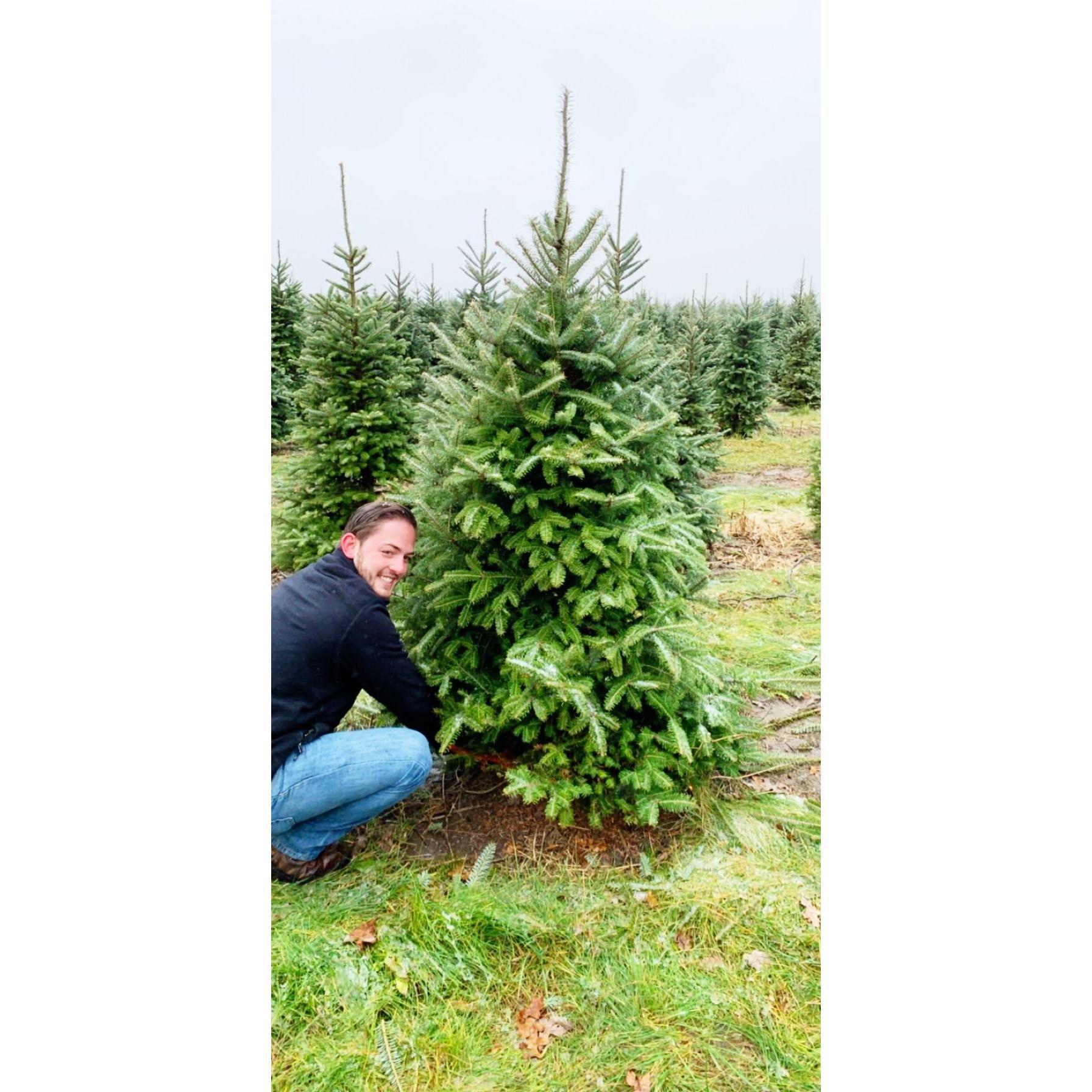 Cutting down our first Christmas tree!
