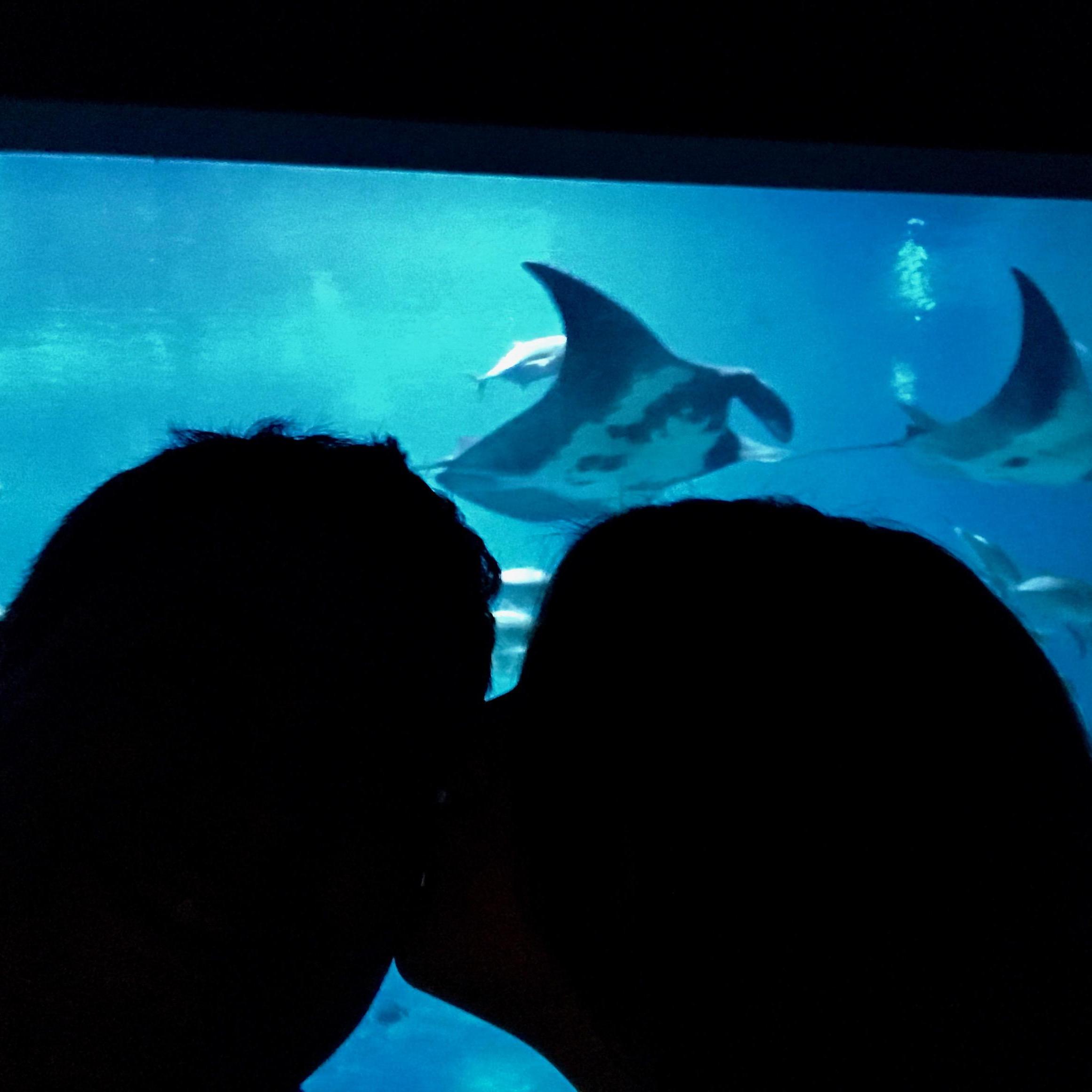Georgia Aquarium