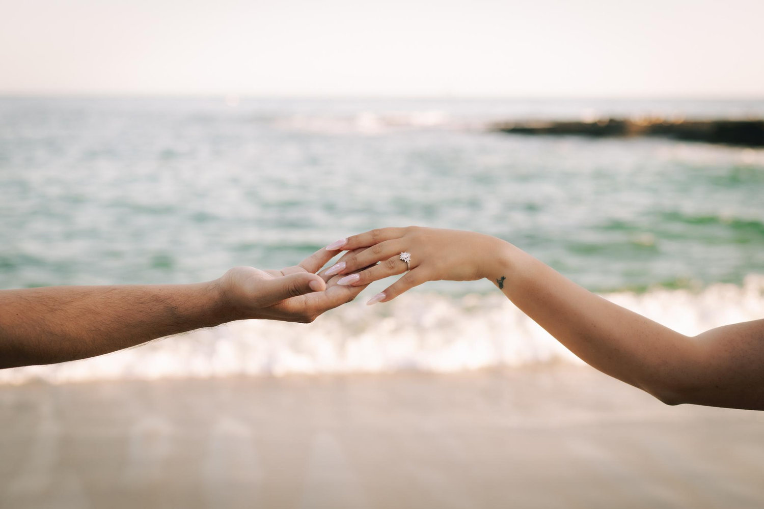 The Wedding Website of Serena Hernandez and Alberto Negrete