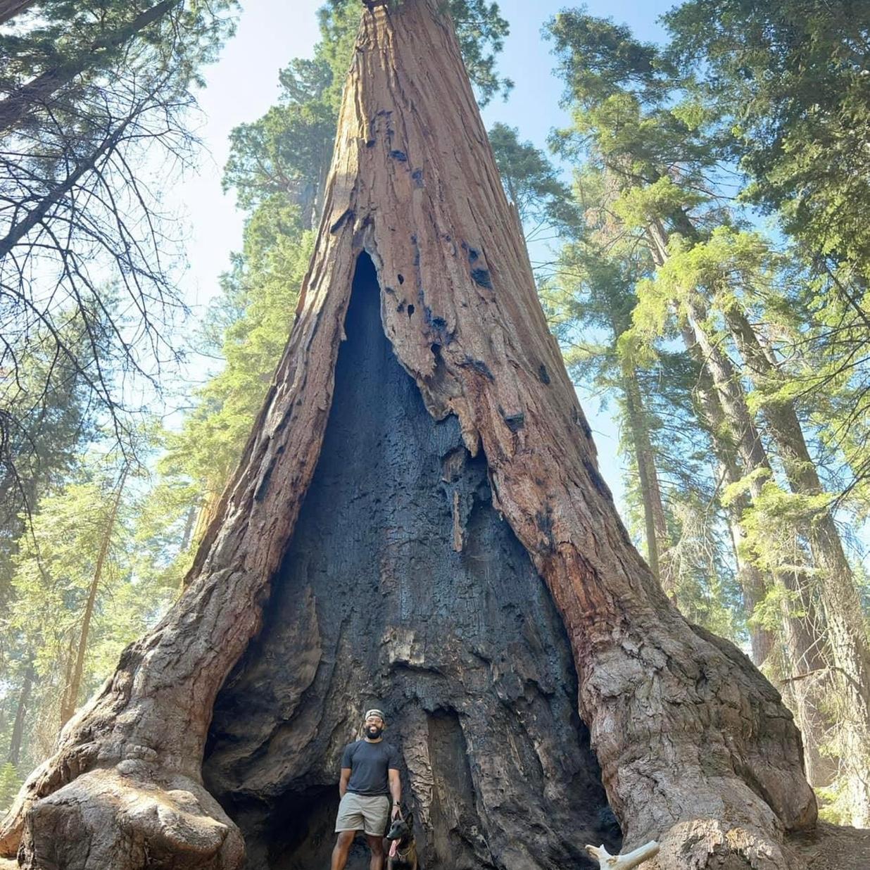 Luka and Lawyer at the Sequoia National park CA

Luka y Lawyer en el parque nacional de Sequoia CA