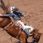 Payson Pro Rodeo