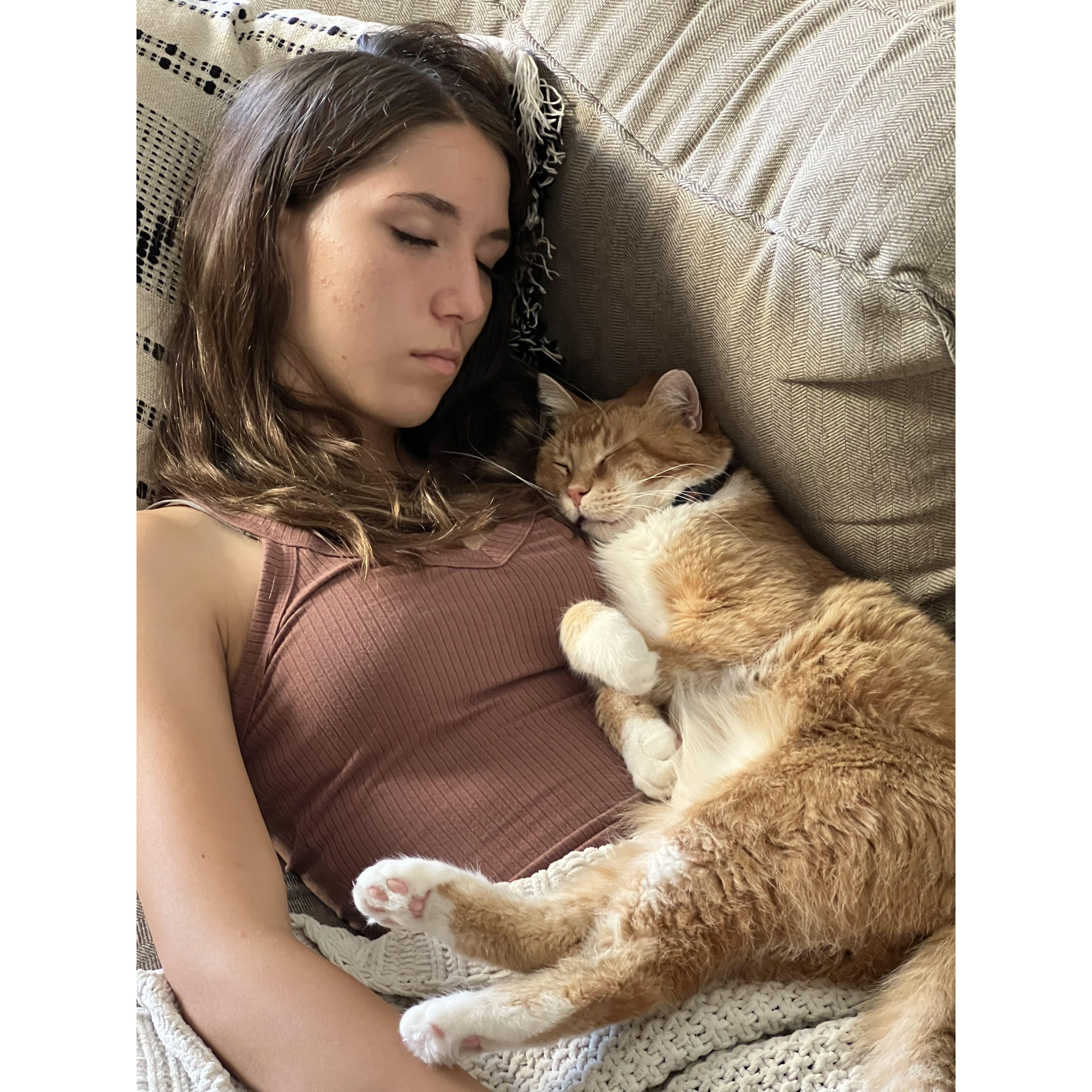 Naps with Toby
