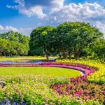 The Dallas Arboretum and Botanical Garden