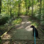 Shoreline Greenway Trail