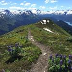 Grace Ridge Trail