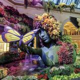 Bellagio Conservatory & Botanical Gardens