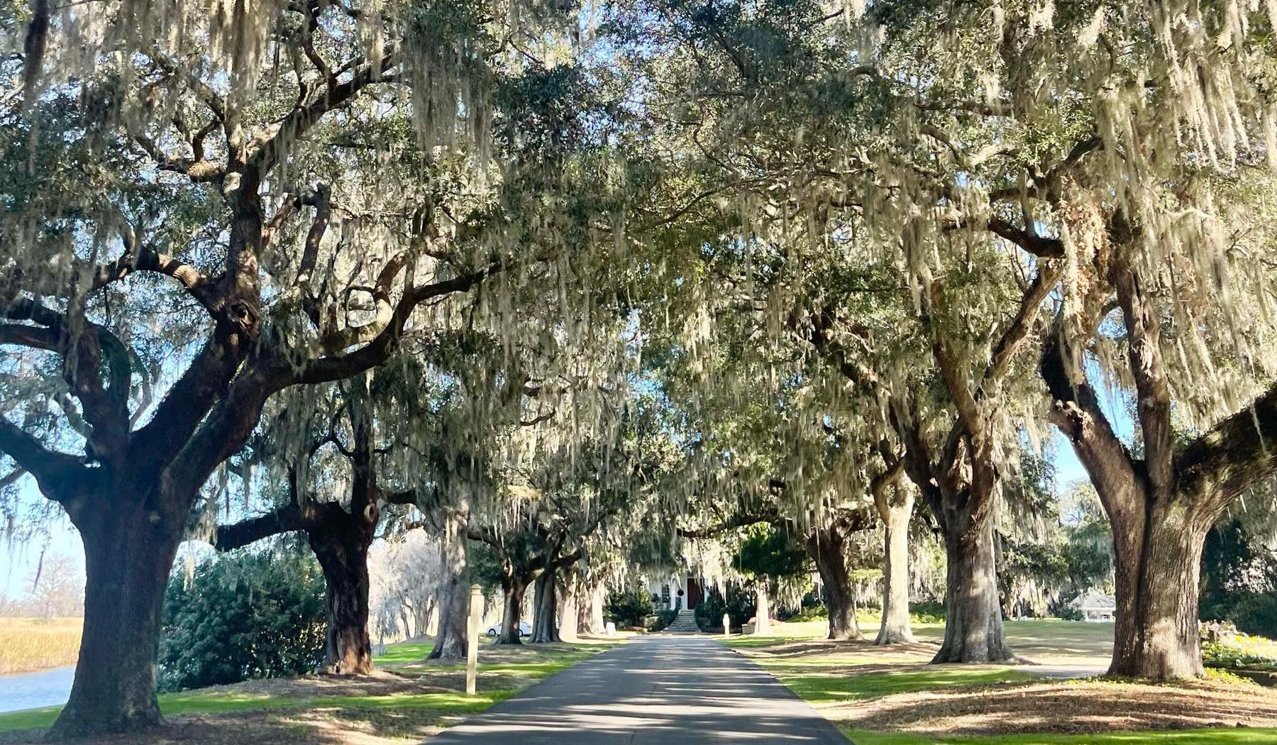 The Wedding Website of Caroline Groce and William Snyder