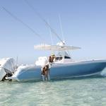 Conch and Coconut
