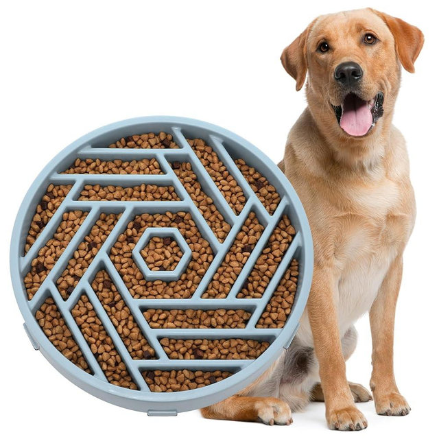 WHIPPY Slow Feeder Dog Bowl, Puzzle Maze Design to Slow Down Eating, 3-Cup Capacity, Anti-Gulping Food Bowl for Medium & Large Dogs,Blue