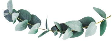 The Wedding Website of Tommaso Rais and Roberta Bontempi