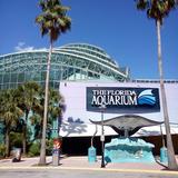The Florida Aquarium