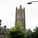 Princeton University