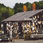 Cape Neddick Lobster Pound