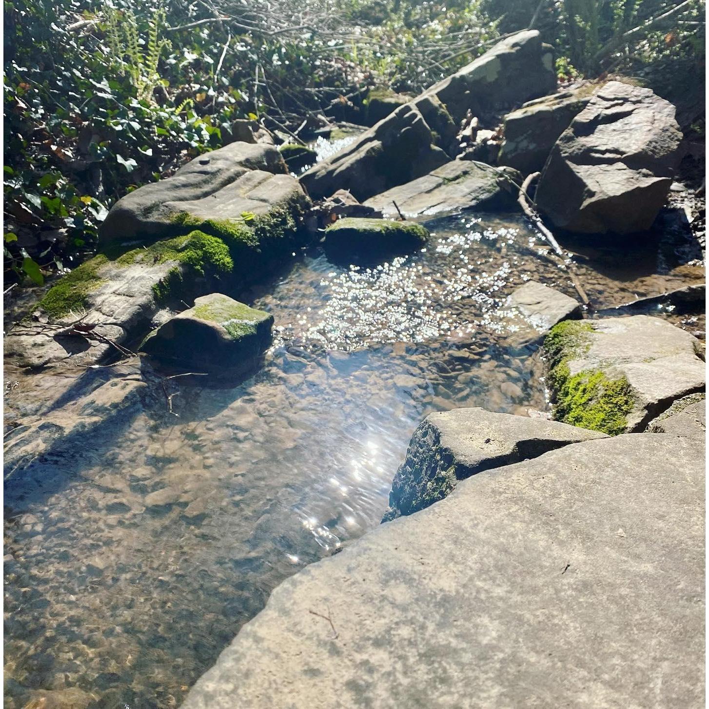 Glen Falls River Trail, where Pat proposed!