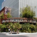 The Dallas World Aquarium