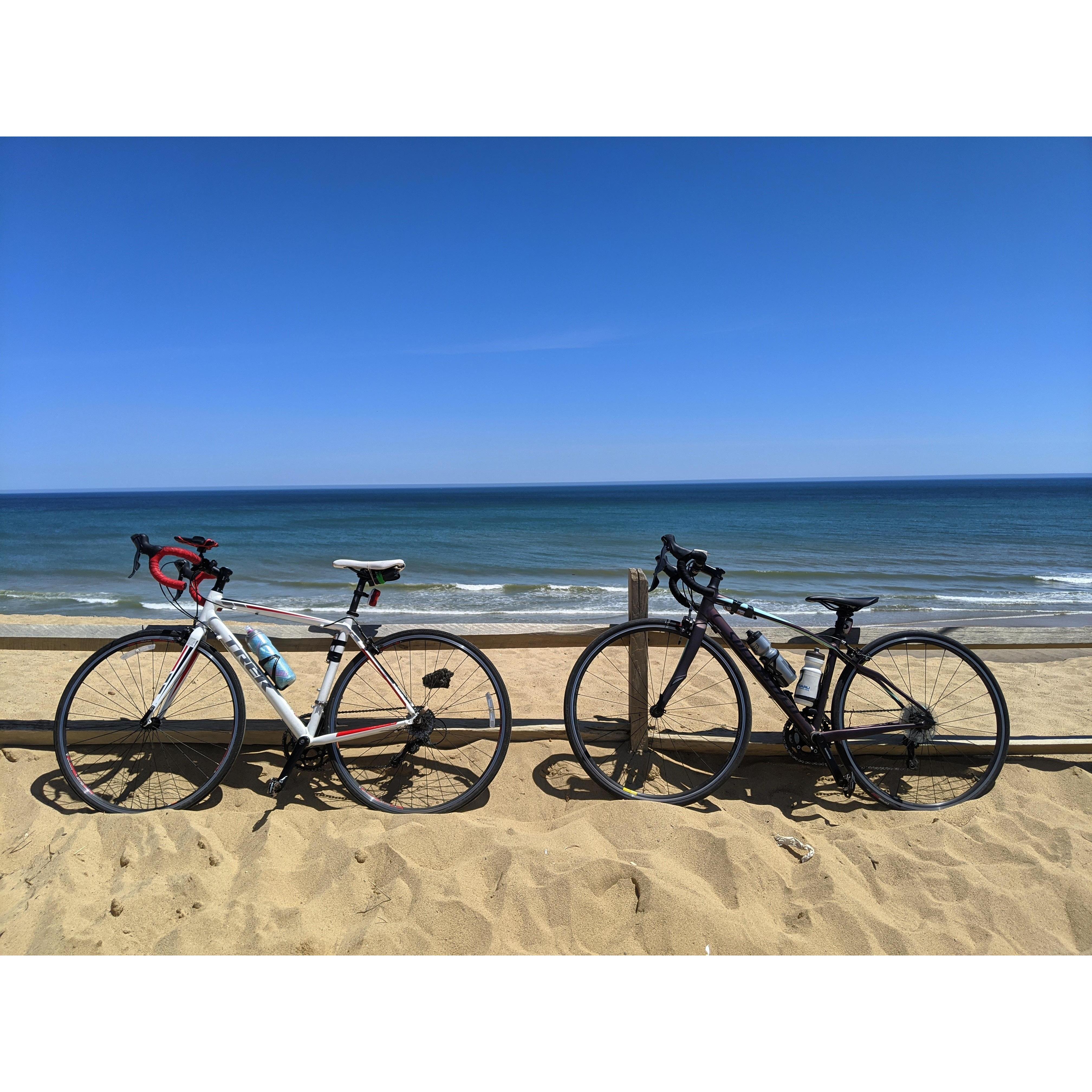 Cape Cod Rail Trail