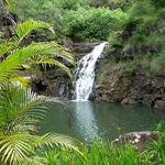 Waimea Valley Trail