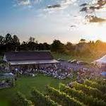 The Vineyard at Hershey