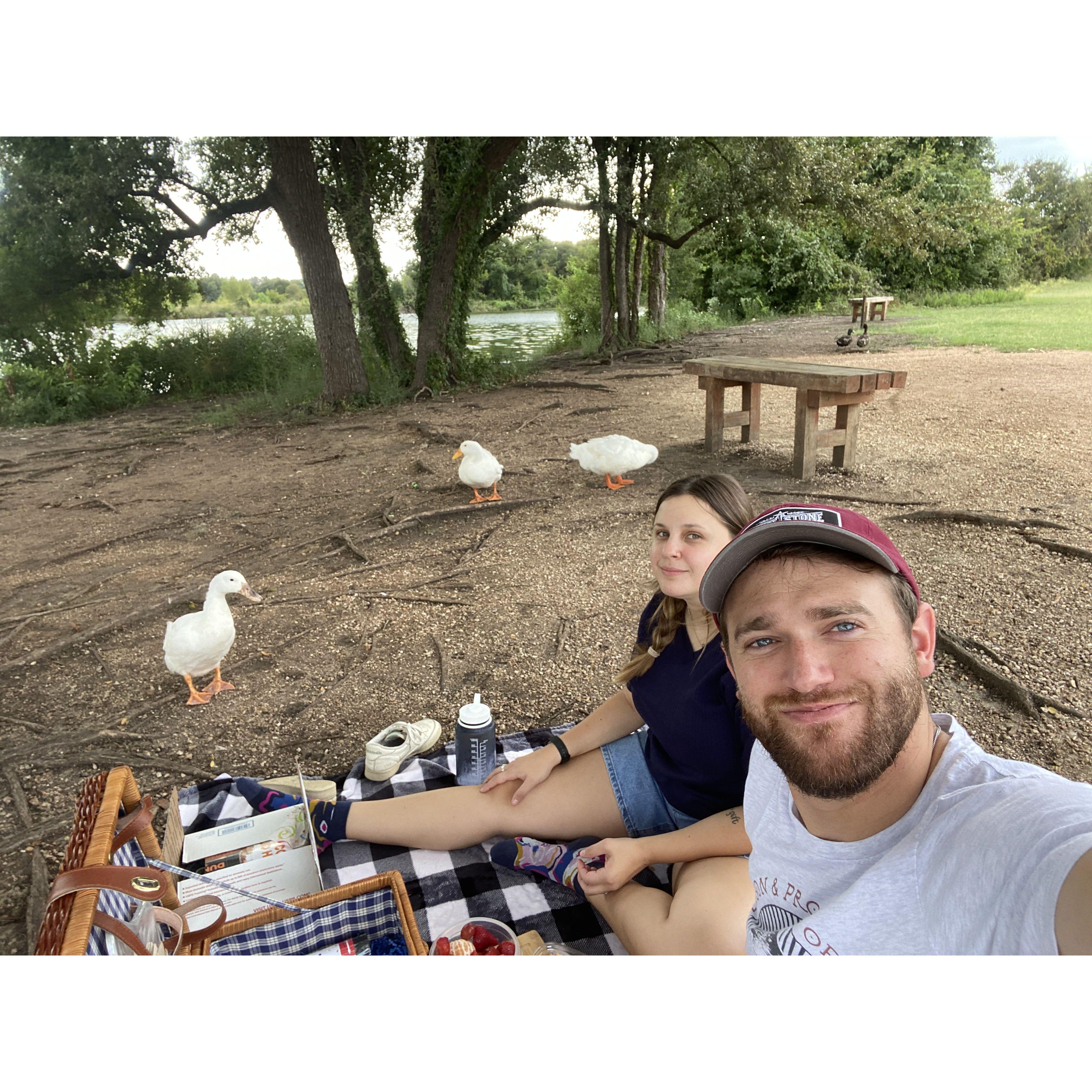 Ducks Invaded Morgan's Birthday Picnic