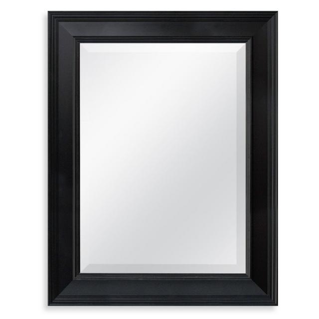 21.25-Inch x 27.5-Inch Decorative Mirror in Black