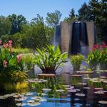 Denver Botanic Gardens