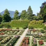 Barony Rosendal