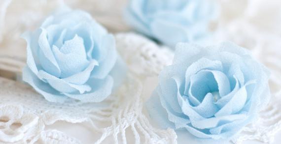 The Wedding Website of Diana Arriola-Peña and Francisco Vives