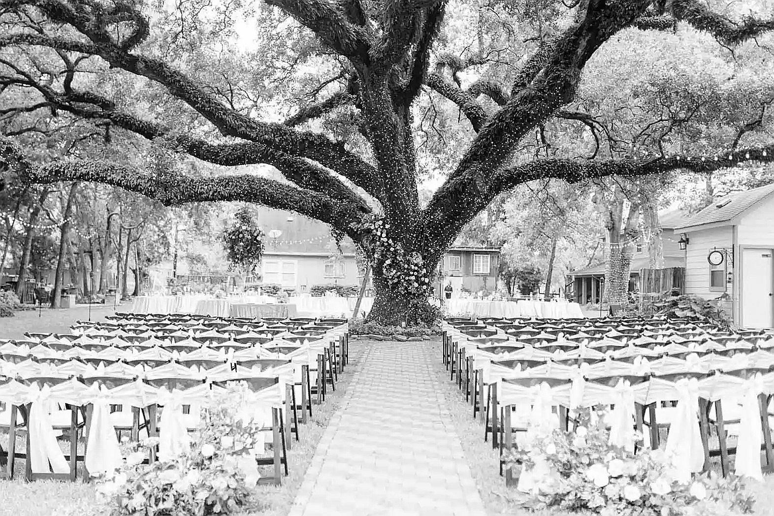 The Wedding Website of Martin Balutski and Cassidy Moran