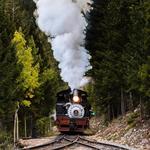 Georgetown Loop Railroad