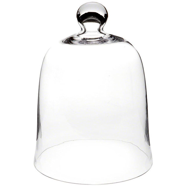 Plymor 8.5" x 11" Bell Jar Glass Display Dome Cloche (Interior Size 8.25" x 9.5")