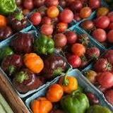 Red Wing Farmers Market