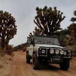 Off-Roading from venue to Big Bear Mountain