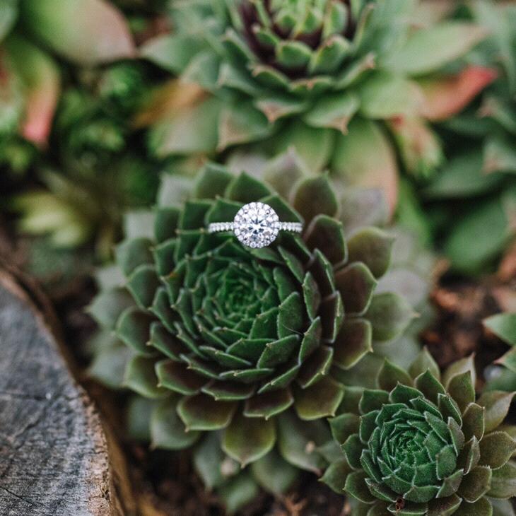 October 11, 2020 - Engagement photos in DC!