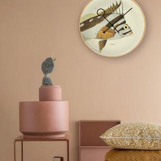 Chilodactylus Vittatus Wall Clock