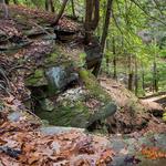 Cleveland Metroparks
