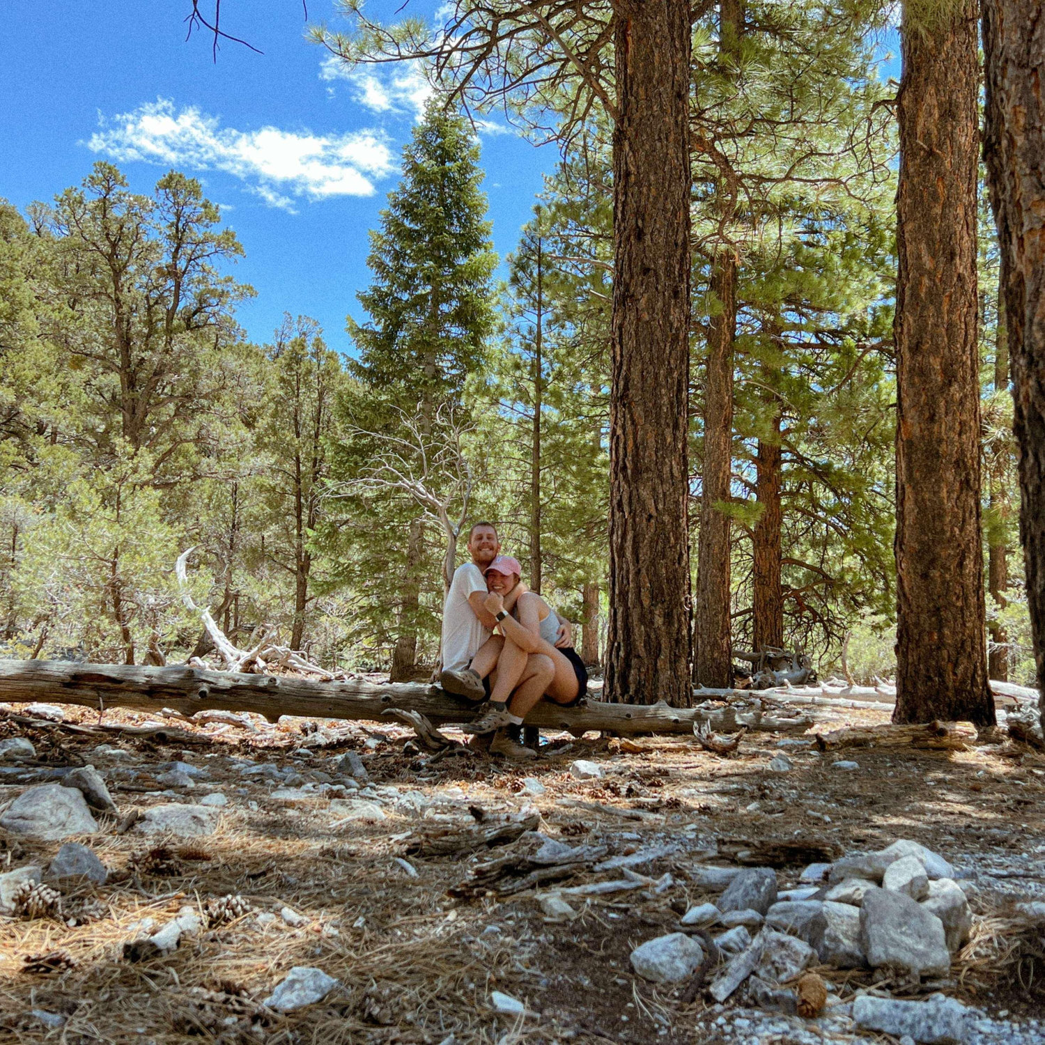 Mt. Charleston | 07/09/22