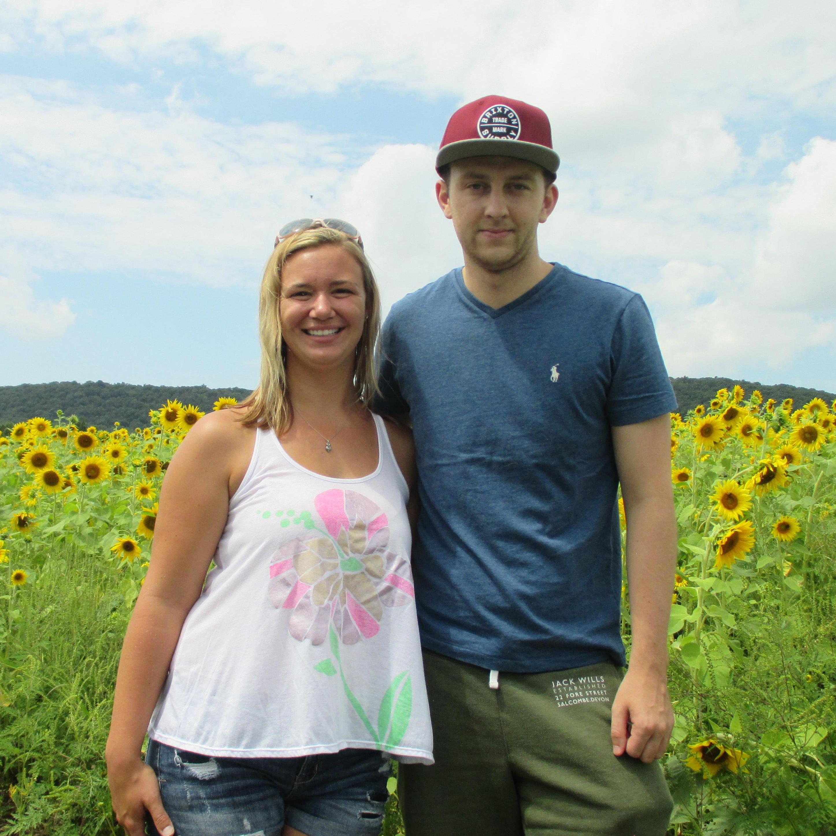 Second Mountain Sunflowers '17